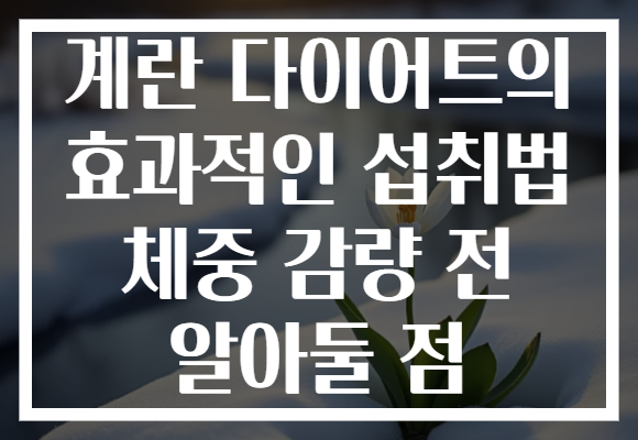 계란 다이어트의 효과적인 섭취법 체중 감량 전 알아둘 점