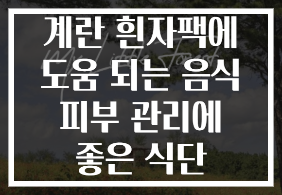 계란 흰자팩에 도움 되는 음식 피부 관리에 좋은 식단