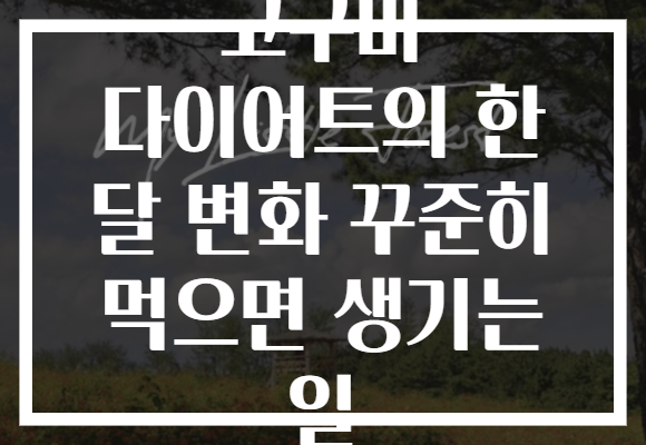 고구마 다이어트의 한 달 변화 꾸준히 먹으면 생기는 일