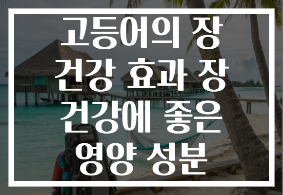 고등어의 장 건강 효과 장 건강에 좋은 영양 성분 고등어의 장 건강 효과 장 건강에 좋은 영양 성분