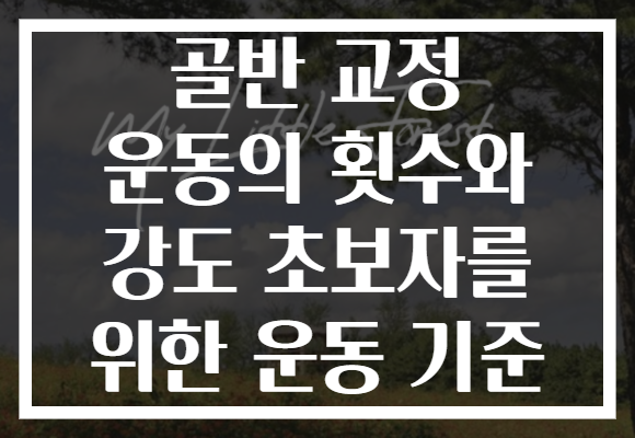 골반 교정 운동의 횟수와 강도 초보자를 위한 운동 기준