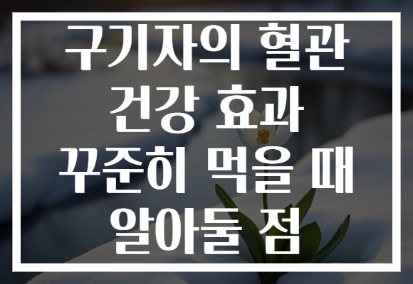 구기자의 혈관 건강 효과 꾸준히 먹을 때 알아둘 점