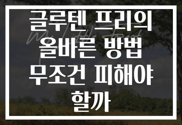 글루텐 프리의 올바른 방법 무조건 피해야 할까