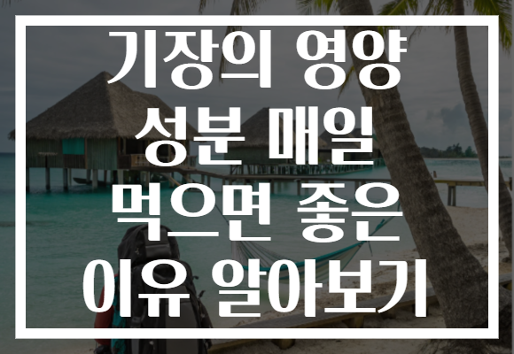 기장의 영양 성분 매일 먹으면 좋은 이유 알아보기 기장의 영양 성분 매일 먹으면 좋은 이유 알아보기