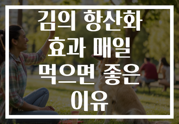 김의 항산화 효과 매일 먹으면 좋은 이유 김의 항산화 효과 매일 먹으면 좋은 이유