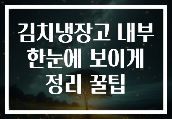김치냉장고 내부 한눈에 보이게 정리 꿀팁