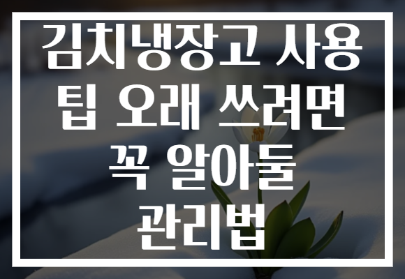 김치냉장고 사용 팁 오래 쓰려면 꼭 알아둘 관리법 김치냉장고 사용 팁 오래 쓰려면 꼭 알아둘 관리법
