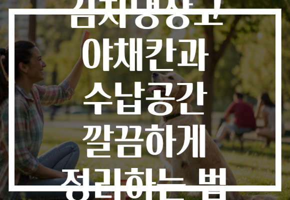 김치냉장고 야채칸과 수납공간 깔끔하게 정리하는 법