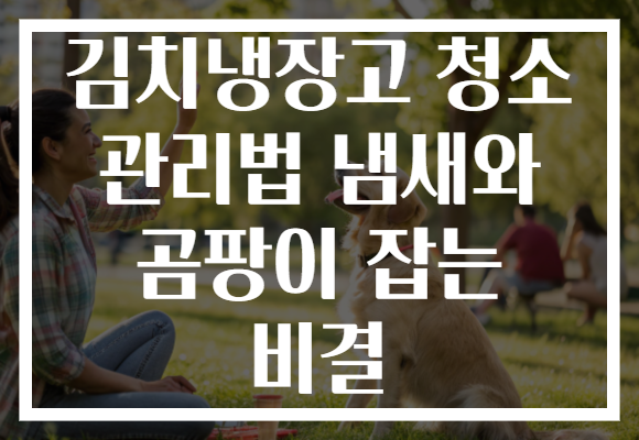 김치냉장고 청소 관리법 냄새와 곰팡이 잡는 비결