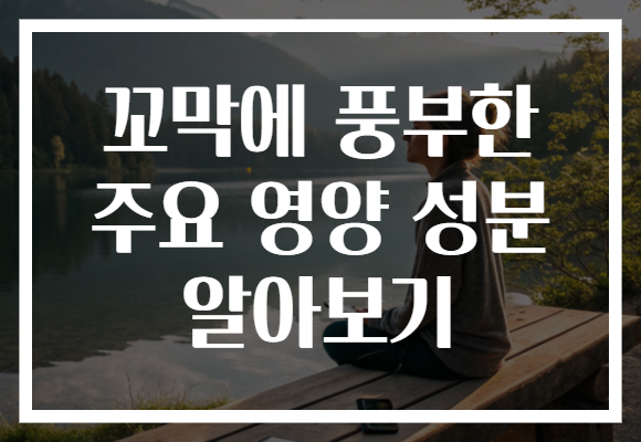 꼬막에 풍부한 주요 영양 성분 알아보기