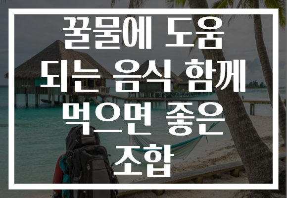 꿀물에 도움 되는 음식 함께 먹으면 좋은 조합 꿀물에 도움 되는 음식 함께 먹으면 좋은 조합