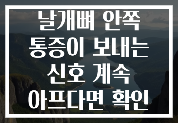 날개뼈 안쪽 통증이 보내는 신호 계속 아프다면 확인 날개뼈 안쪽 통증이 보내는 신호 계속 아프다면 확인