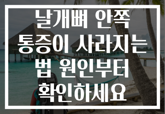 날개뼈 안쪽 통증이 사라지는 법 원인부터 확인하세요 날개뼈 안쪽 통증이 사라지는 법 원인부터 확인하세요