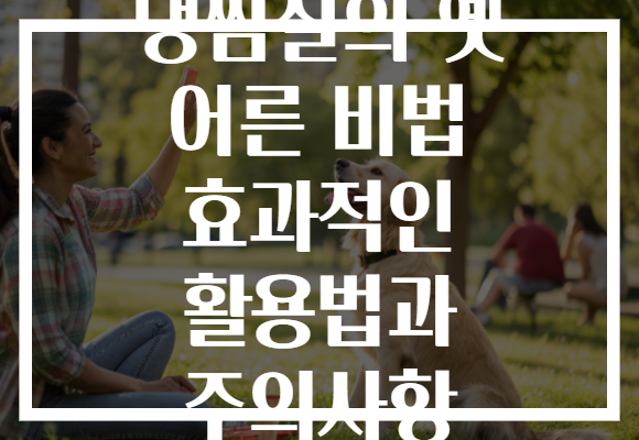 냉찜질의 옛 어른 비법 효과적인 활용법과 주의사항 냉찜질의 옛 어른 비법 효과적인 활용법과 주의사항