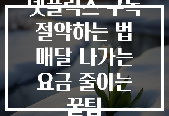 넷플릭스 구독 절약하는 법 매달 나가는 요금 줄이는 꿀팁 넷플릭스 구독 절약하는 법 매달 나가는 요금 줄이는 꿀팁