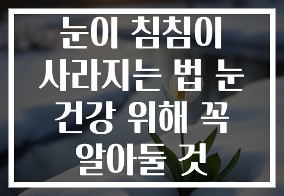 눈이 침침이 사라지는 법 눈 건강 위해 꼭 알아둘 것