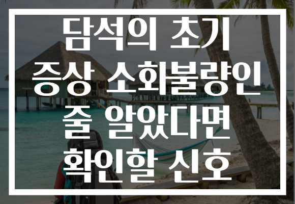 담석의 초기 증상 소화불량인 줄 알았다면 확인할 신호 담석의 초기 증상 소화불량인 줄 알았다면 확인할 신호