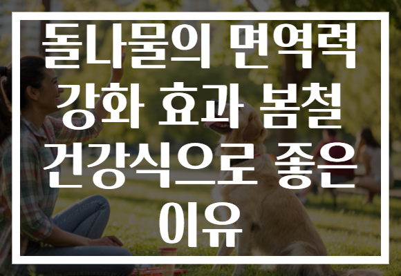 돌나물의 면역력 강화 효과 봄철 건강식으로 좋은 이유