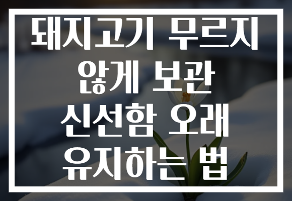 돼지고기 무르지 않게 보관 신선함 오래 유지하는 법