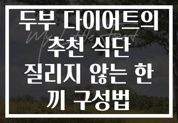 두부 다이어트의 추천 식단 질리지 않는 한 끼 구성법