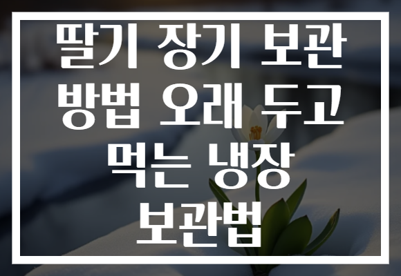 딸기 장기 보관 방법 오래 두고 먹는 냉장 보관법 딸기 장기 보관 방법 오래 두고 먹는 냉장 보관법