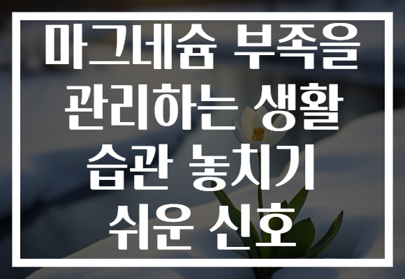 마그네슘 부족을 관리하는 생활 습관 놓치기 쉬운 신호 마그네슘 부족을 관리하는 생활 습관 놓치기 쉬운 신호