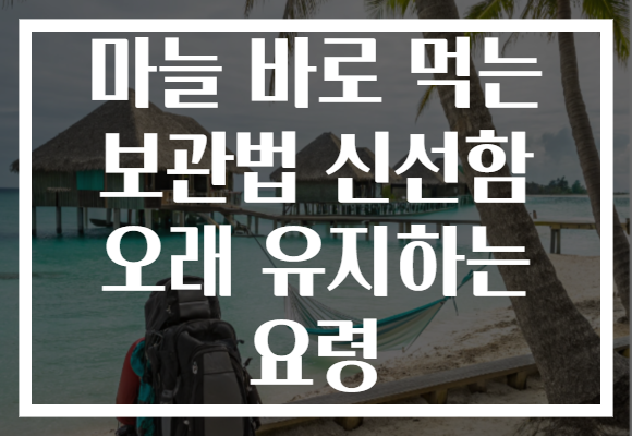 마늘 바로 먹는 보관법 신선함 오래 유지하는 요령 마늘 바로 먹는 보관법 신선함 오래 유지하는 요령