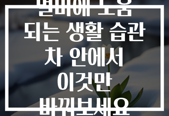 멀미에 도움 되는 생활 습관 차 안에서 이것만 바꿔보세요 멀미에 도움 되는 생활 습관 차 안에서 이것만 바꿔보세요