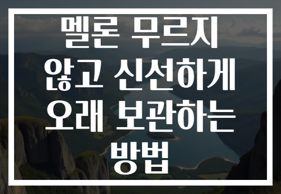 멜론 무르지 않고 신선하게 오래 보관하는 방법