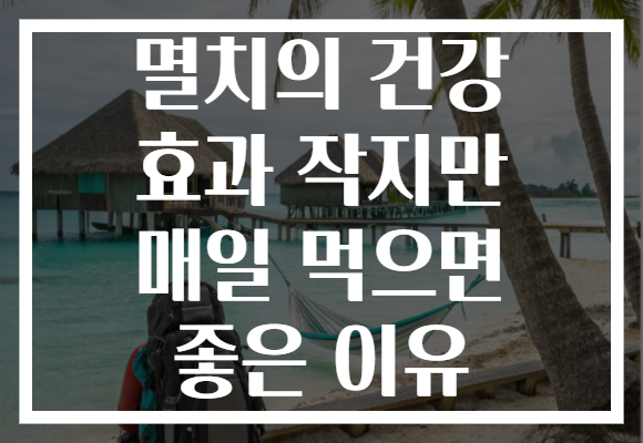 멸치의 건강 효과 작지만 매일 먹으면 좋은 이유