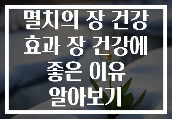 멸치의 장 건강 효과 장 건강에 좋은 이유 알아보기 멸치의 장 건강 효과 장 건강에 좋은 이유 알아보기