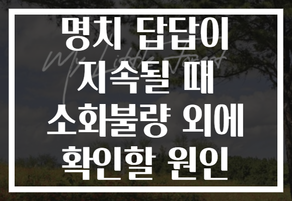 명치 답답이 지속될 때 소화불량 외에 확인할 원인