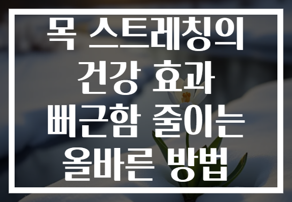 목 스트레칭의 건강 효과 뻐근함 줄이는 올바른 방법 목 스트레칭의 건강 효과 뻐근함 줄이는 올바른 방법