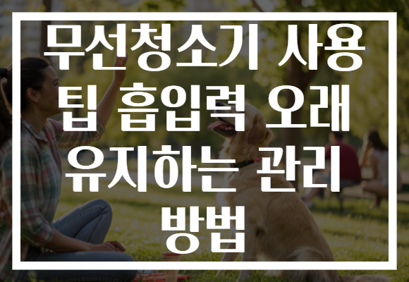 무선청소기 사용 팁 흡입력 오래 유지하는 관리 방법 무선청소기 사용 팁 흡입력 오래 유지하는 관리 방법