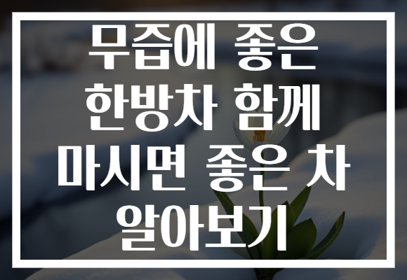 무즙에 좋은 한방차 함께 마시면 좋은 차 알아보기 무즙에 좋은 한방차 함께 마시면 좋은 차 알아보기