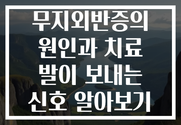 무지외반증의 원인과 치료 발이 보내는 신호 알아보기 무지외반증의 원인과 치료 발이 보내는 신호 알아보기