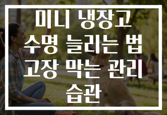 미니 냉장고 수명 늘리는 법 고장 막는 관리 습관