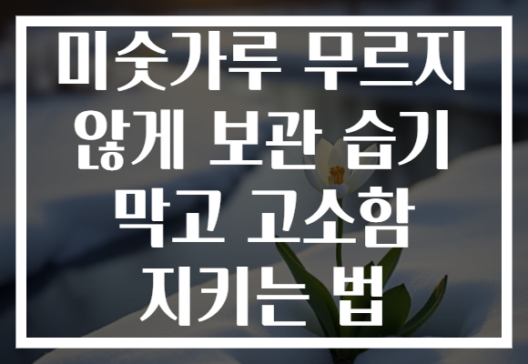 미숫가루 무르지 않게 보관 습기 막고 고소함 지키는 법