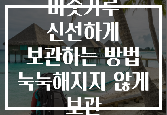 미숫가루 신선하게 보관하는 방법 눅눅해지지 않게 보관