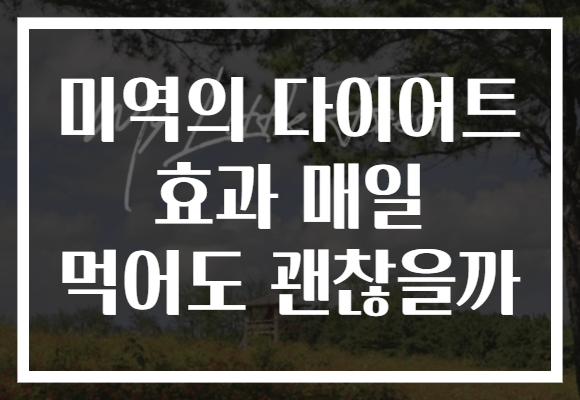 미역의 다이어트 효과 매일 먹어도 괜찮을까