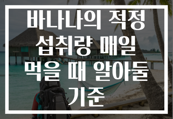 바나나의 적정 섭취량 매일 먹을 때 알아둘 기준 바나나의 적정 섭취량 매일 먹을 때 알아둘 기준