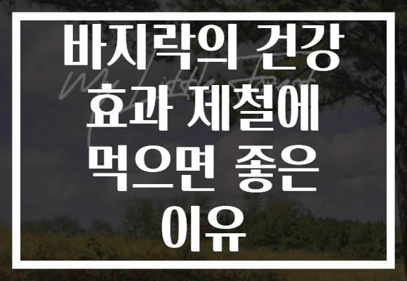 바지락의 건강 효과 제철에 먹으면 좋은 이유 바지락의 건강 효과 제철에 먹으면 좋은 이유