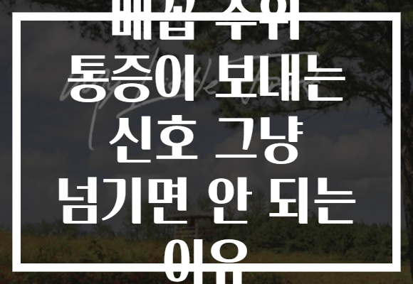 배꼽 주위 통증이 보내는 신호 그냥 넘기면 안 되는 이유 배꼽 주위 통증이 보내는 신호 그냥 넘기면 안 되는 이유