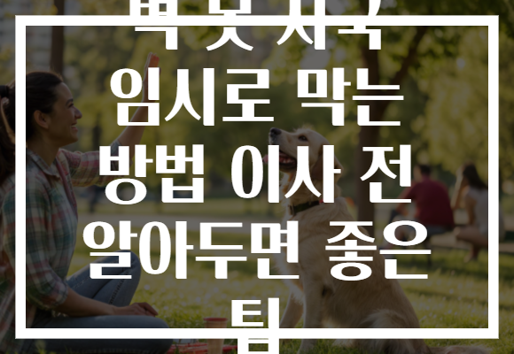 벽 못 자국 임시로 막는 방법 이사 전 알아두면 좋은 팁 벽 못 자국 임시로 막는 방법 이사 전 알아두면 좋은 팁