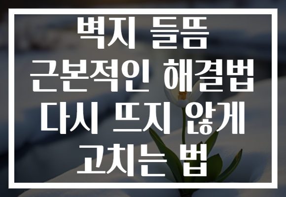 벽지 들뜸 근본적인 해결법 다시 뜨지 않게 고치는 법