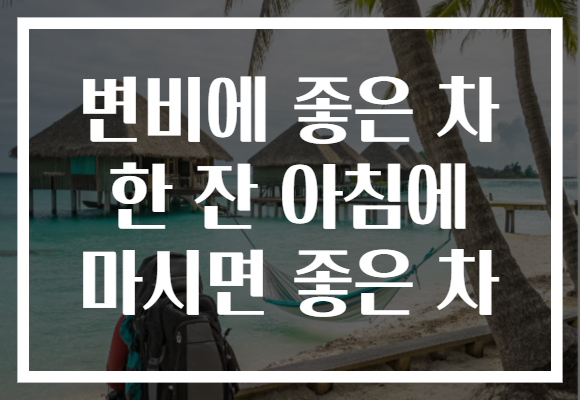 변비에 좋은 차 한 잔 아침에 마시면 좋은 차 변비에 좋은 차 한 잔 아침에 마시면 좋은 차
