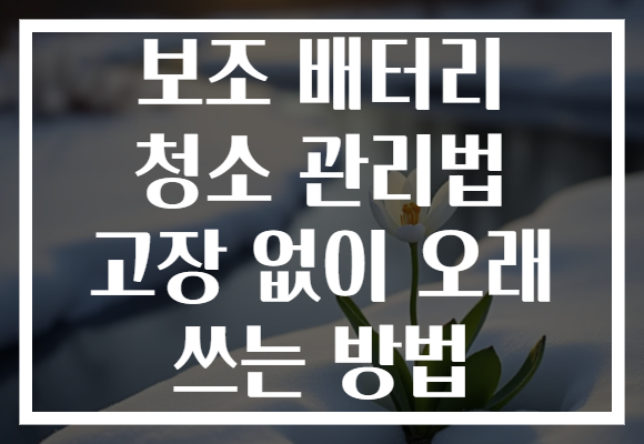 보조 배터리 청소 관리법 고장 없이 오래 쓰는 방법