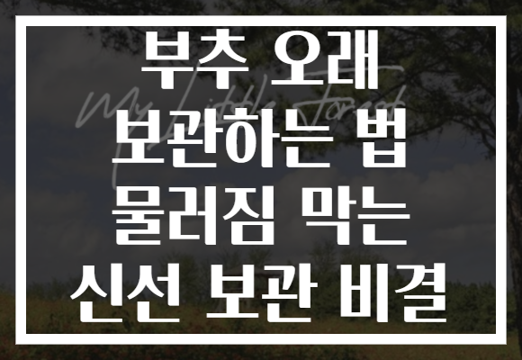 부추 오래 보관하는 법 물러짐 막는 신선 보관 비결