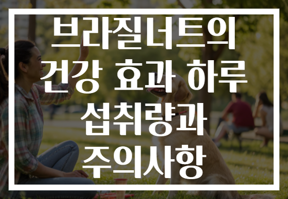 브라질너트의 건강 효과 하루 섭취량과 주의사항 브라질너트의 건강 효과 하루 섭취량과 주의사항