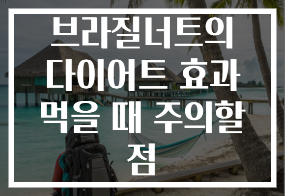브라질너트의 다이어트 효과 먹을 때 주의할 점
